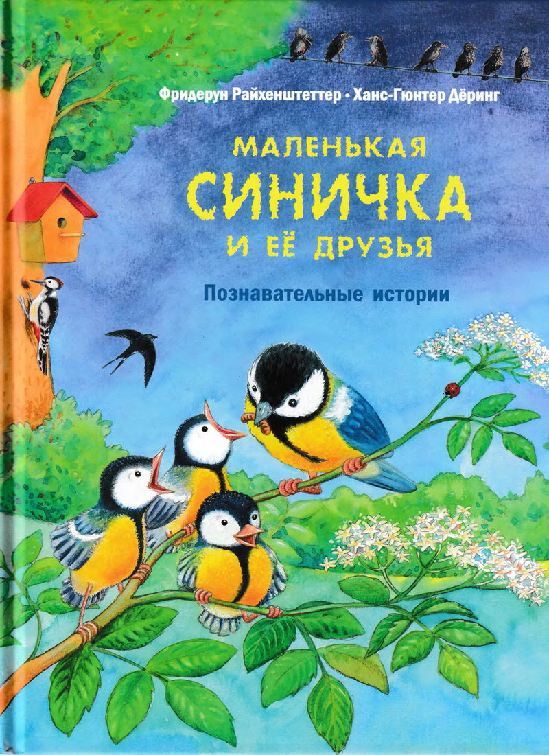 Книга: “Маленькая синичка и её друзья” Фридерун Райхенштеттер читать ...